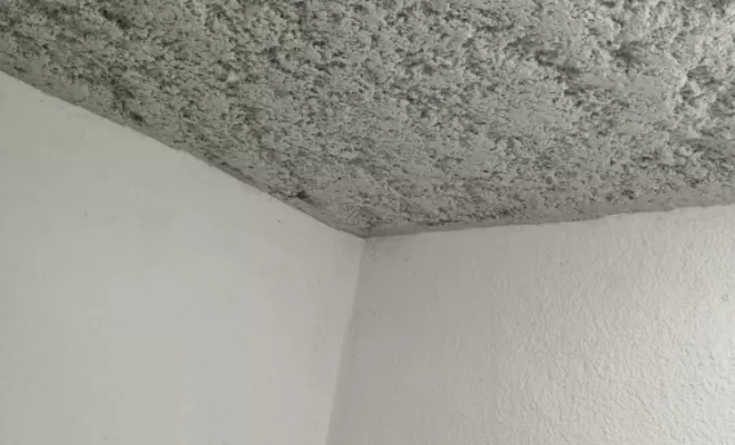 Flocage plafond